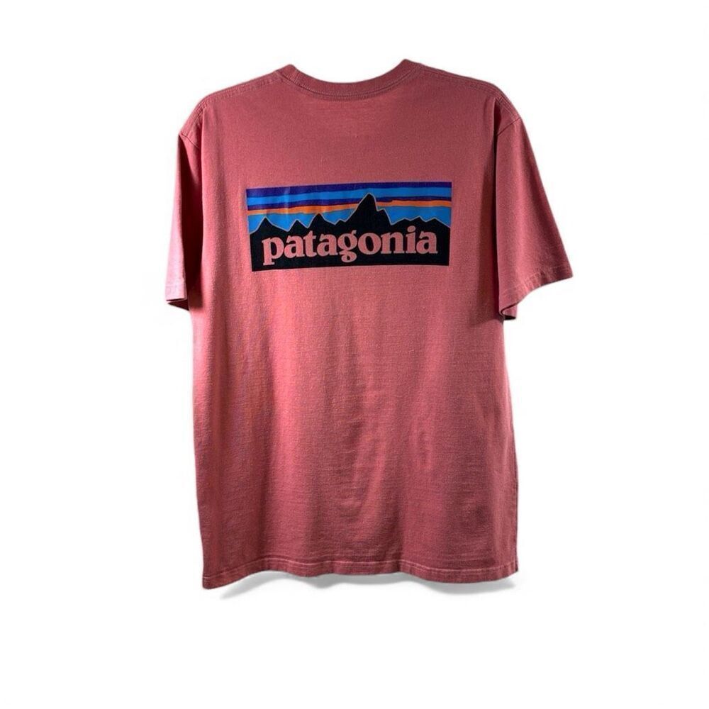 Patagonia Short Sleeve T Shirt with Big Logo in the Back In Pink Size M